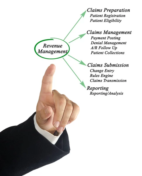 Komponenter i Revenue Management — Stockfoto